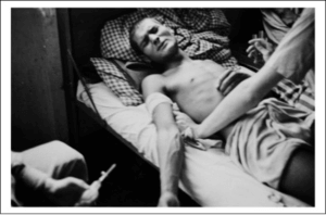 SEA WATER EXPERIMENT